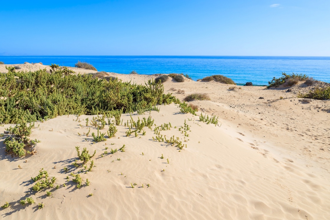 Sand dune with blue water sea view near Corralejo , Fuerteventura, Canary Islands, Spain